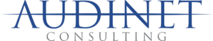 AUDINET CONSULTING